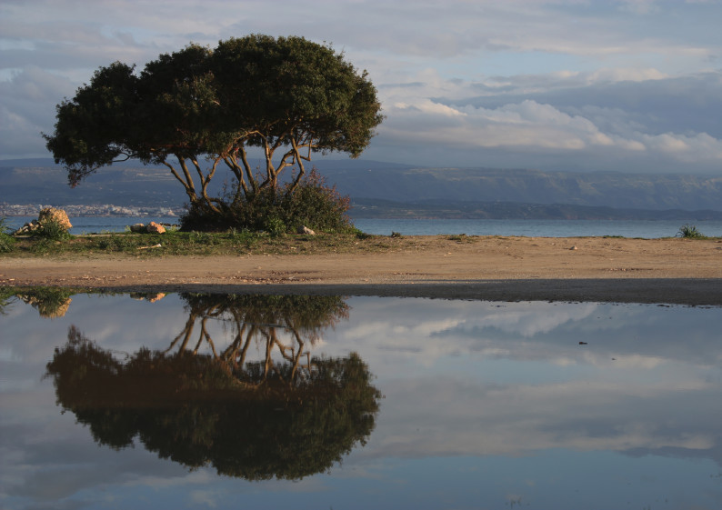 concorso national geographic